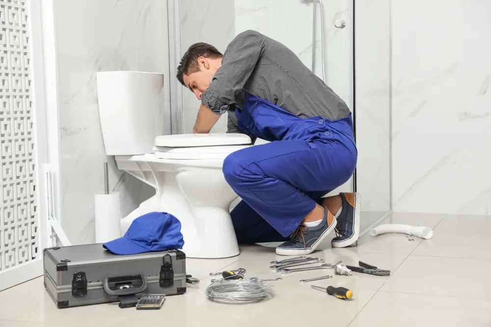 Toilet Repair in Lenwood